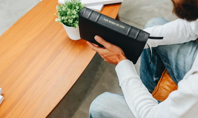 Imagem Ilustrativa. (Foto: Reprodução/Unsplash/Humble Lamb)