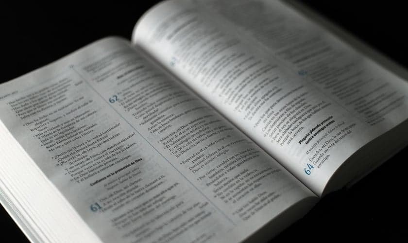 Imagem ilustrativa. (Foto: Pexels/ Luis Quintero).