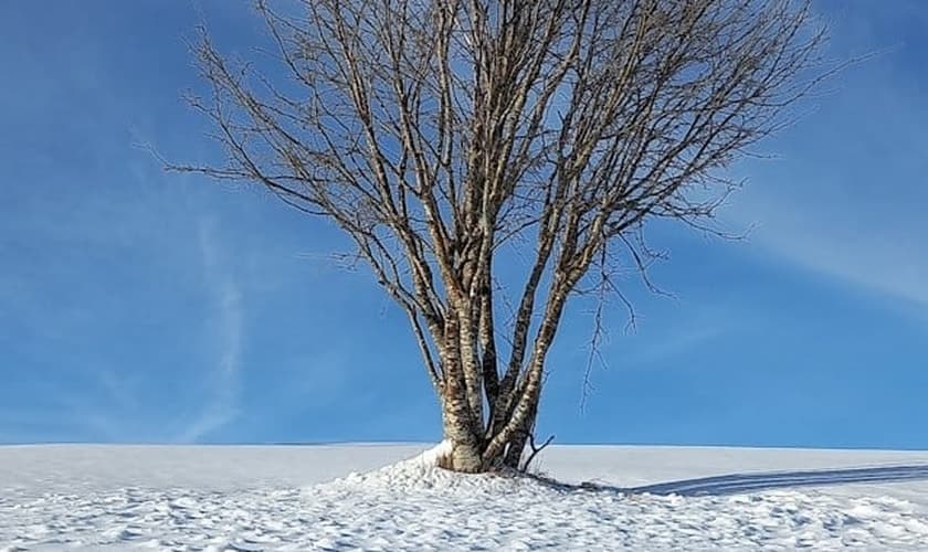 (Foto: Unsplash/Perla Cecchelani)