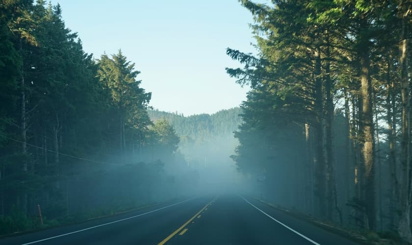 (Foto: Unsplash/Will)