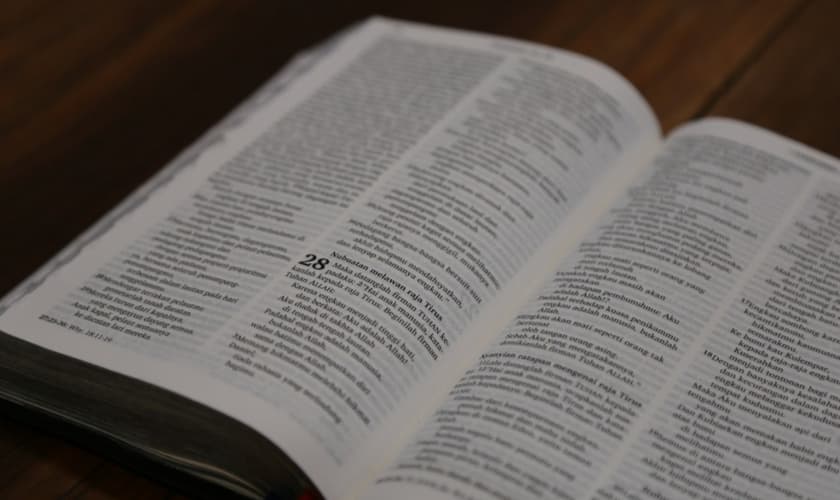 Imagem ilustrativa. (Foto: Unsplash/Refael sinaga).