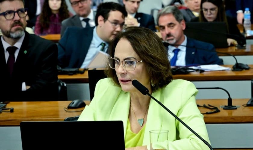 O texto foi aprovado pela Comissão de Direitos Humanos. (Foto: Geraldo Magela/Agência Senado).