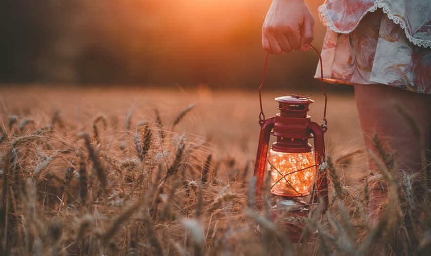 (Foto: Guilherme Stecanella /Unsplash)