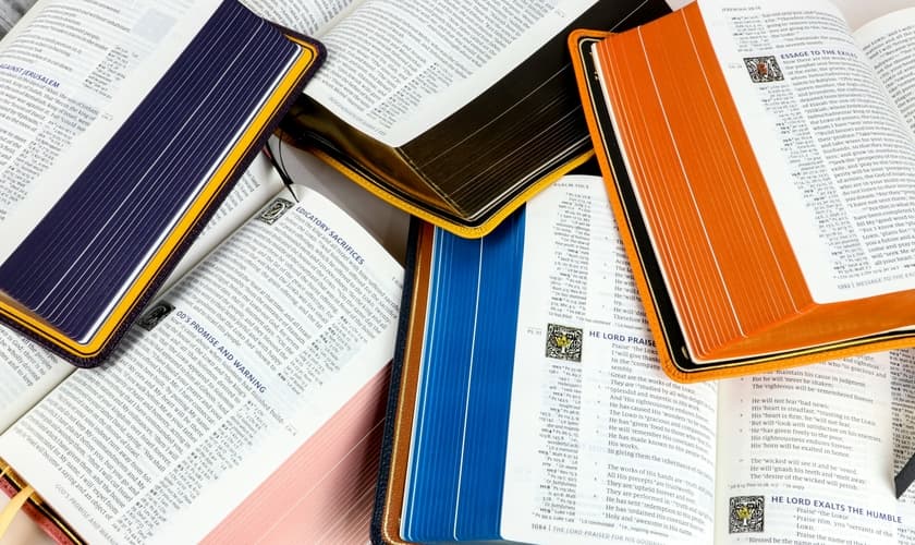 Imagem ilustrativa. (Foto: Unsplash/Humble Lamb).